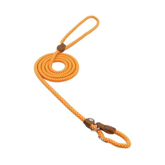 Nylon Pup Set — Collar & Lead