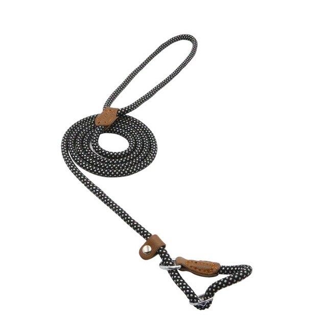 Nylon Pup Set — Collar & Lead