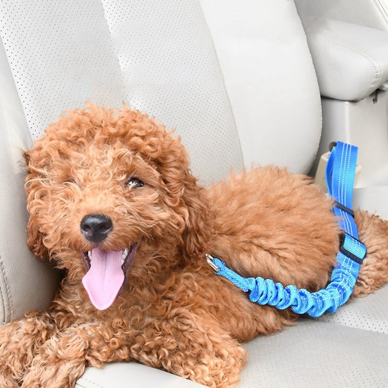 Elastic Dog Car Safety Belt