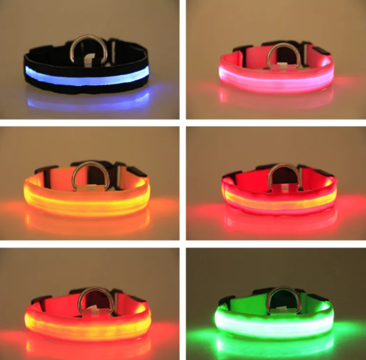LED Dog Collar — Rechargeable Night Safety Collar