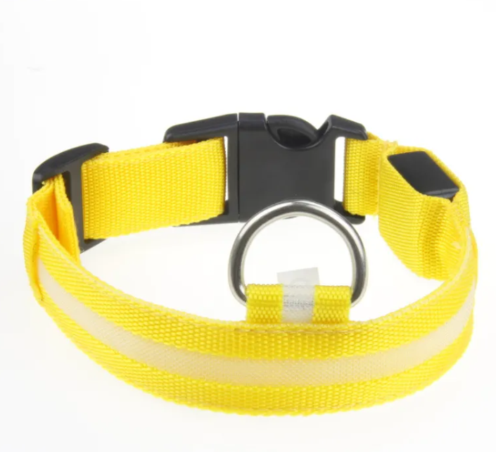 LED Dog Collar — Rechargeable Night Safety Collar