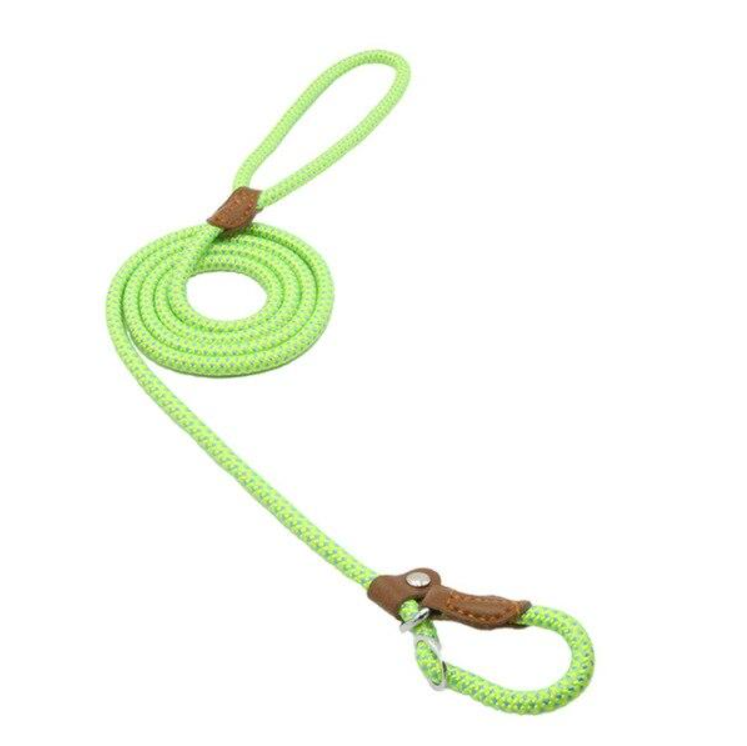 Nylon Pup Set — Collar & Lead