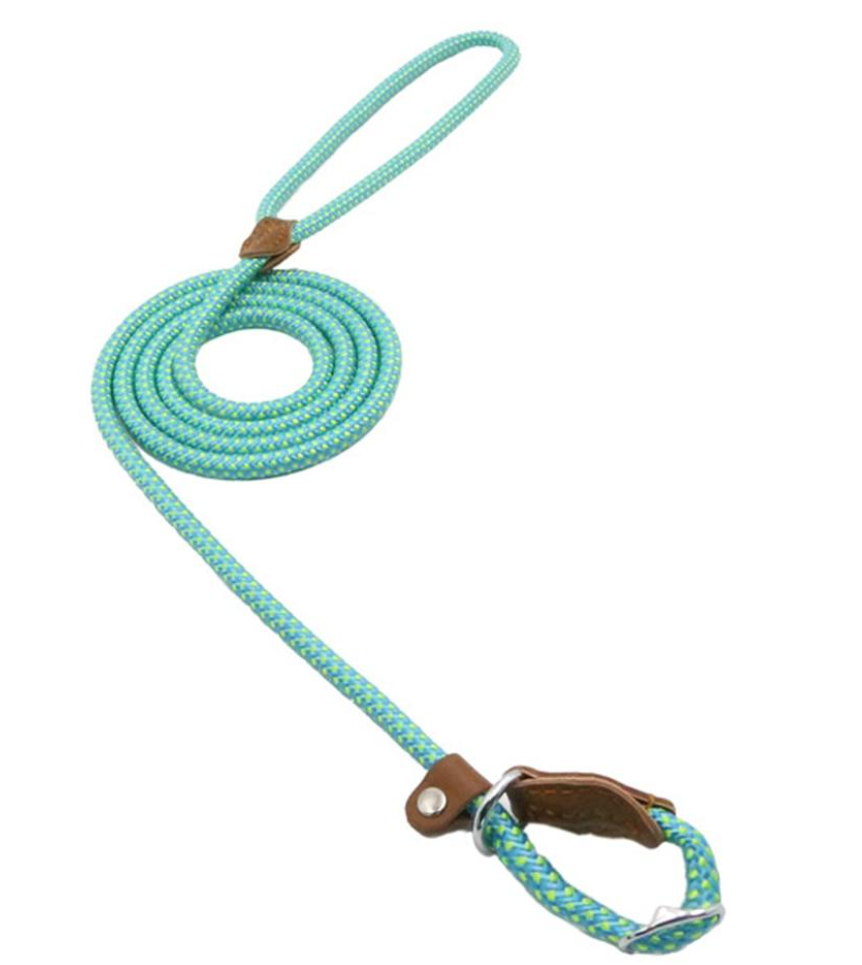 Nylon Pup Set — Collar & Lead