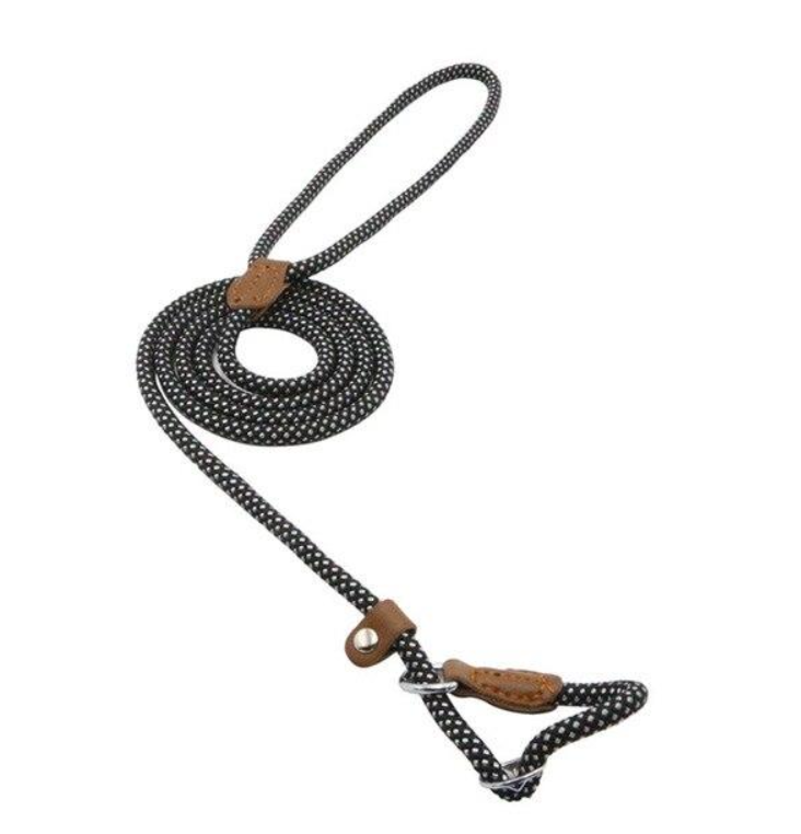 Nylon Pup Set — Collar & Lead