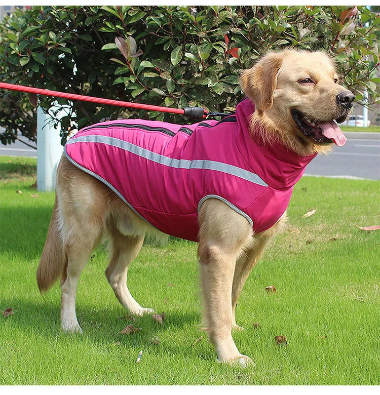 Thickened Windproof Dog Jacket