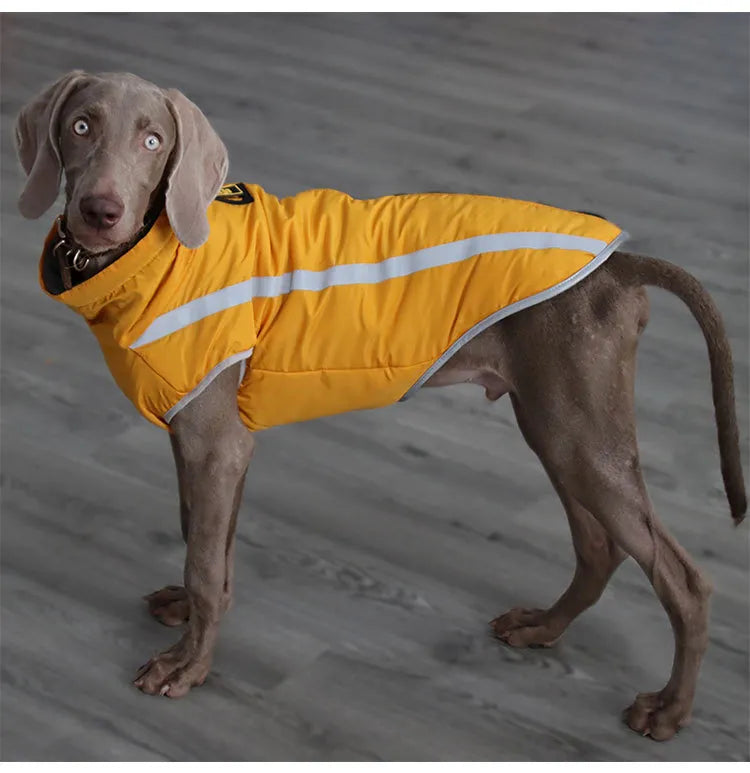 Thickened Windproof Dog Jacket
