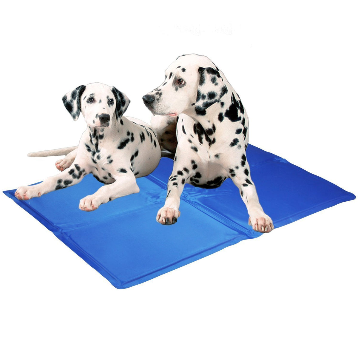 Dog Cooling Mat — Summer Gel Ice Pad