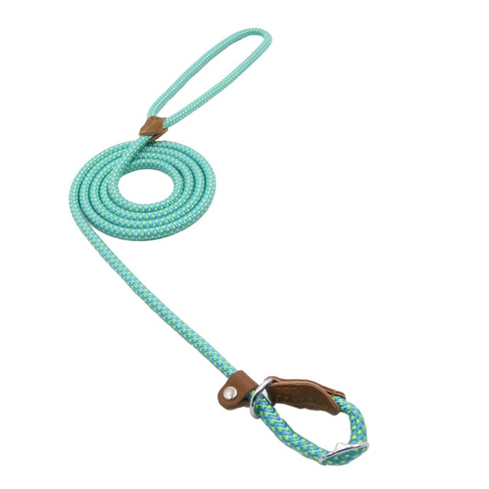 Nylon Pup Set — Collar & Lead