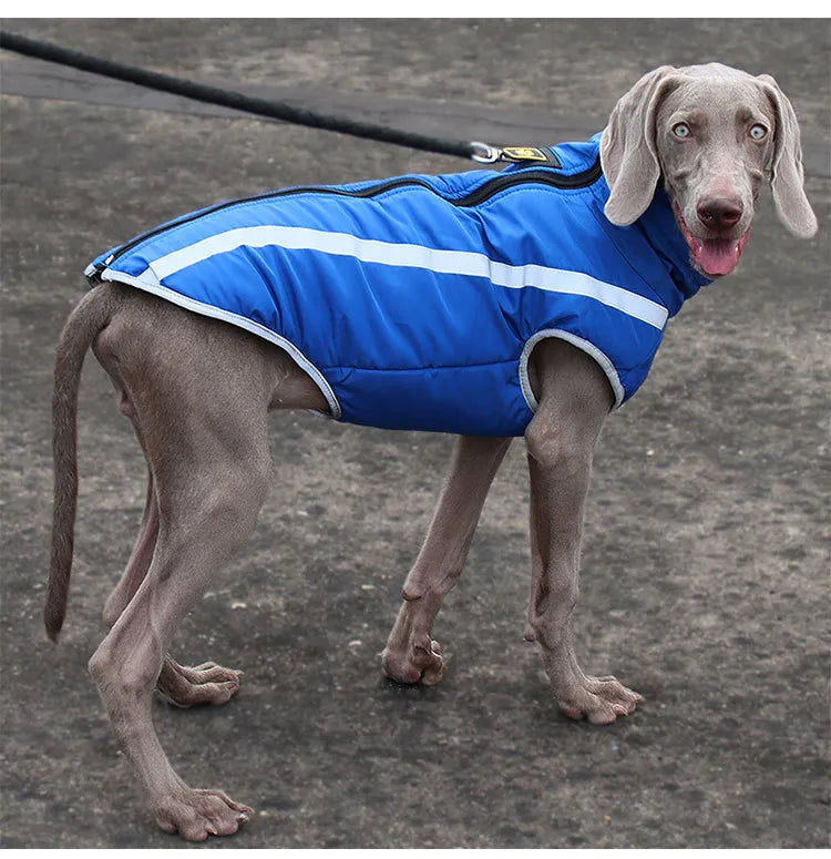 Thickened Windproof Dog Jacket