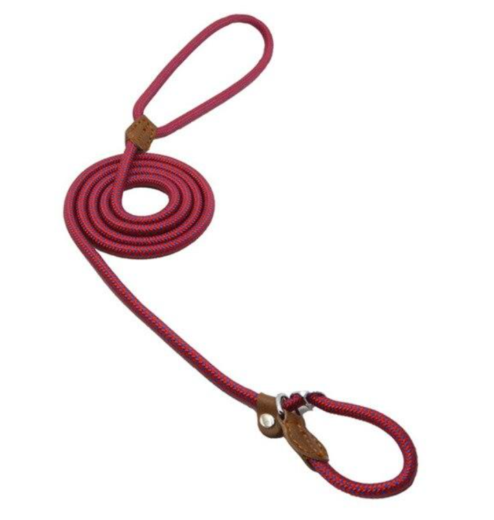 Nylon Pup Set — Collar & Lead