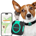 Woyamay GPS Tracker for Dogs and Cats Mini Cat & Dog GPS Tracker with Health Monitor and GPS Dog Fence Waterproof GPS Pet Tracker Works with Any Collar (Android and iOS Universal)