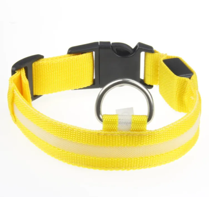 LED Dog Collar — Rechargeable Night Safety Collar