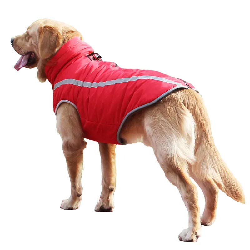 Thickened Windproof Dog Jacket