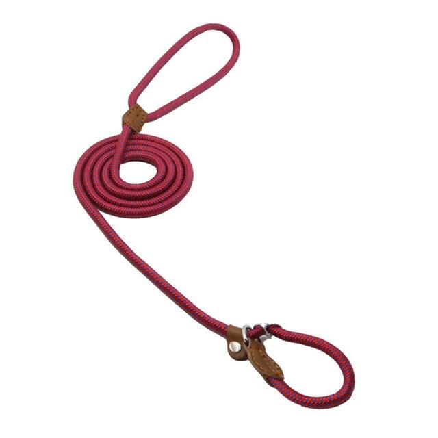 Nylon Pup Set — Collar & Lead