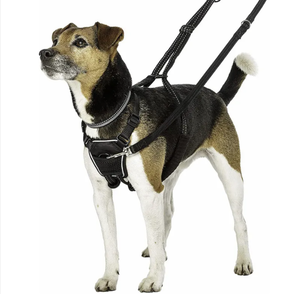 Reflective No-Pull Dog Harness