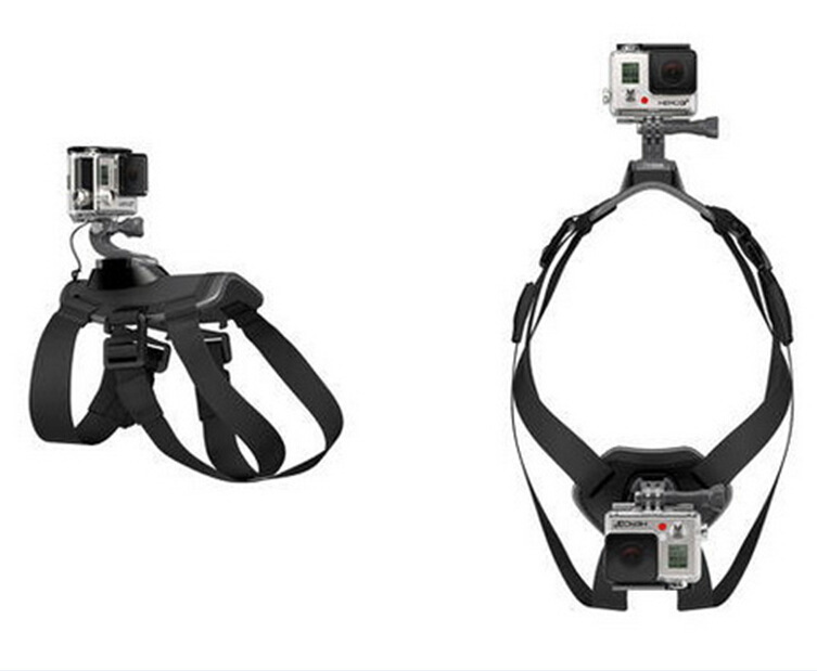 Dog Harness with GoPro Mount