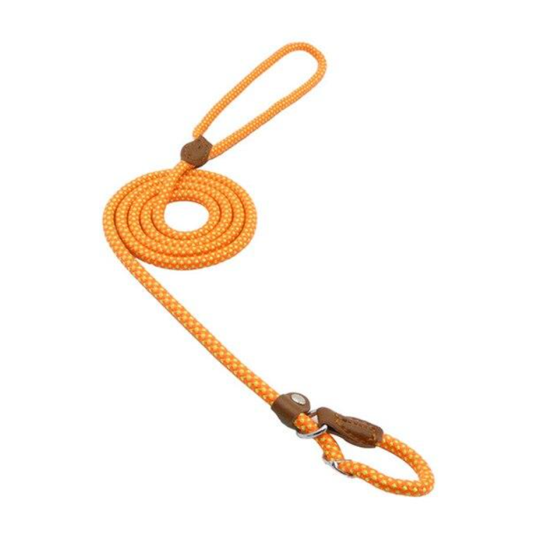 Nylon Pup Set — Collar & Lead