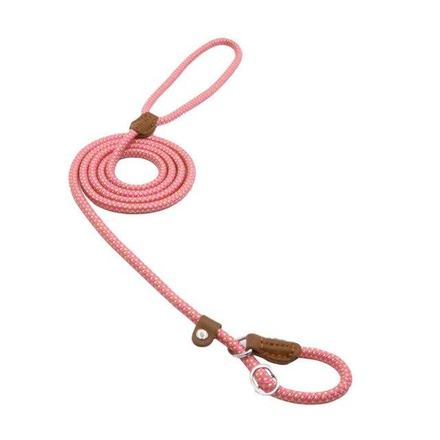 Nylon Pup Set — Collar & Lead
