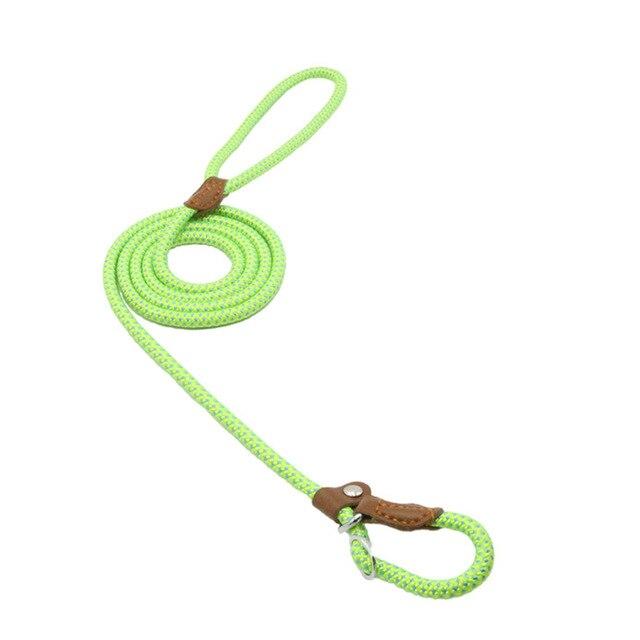 Nylon Pup Set — Collar & Lead