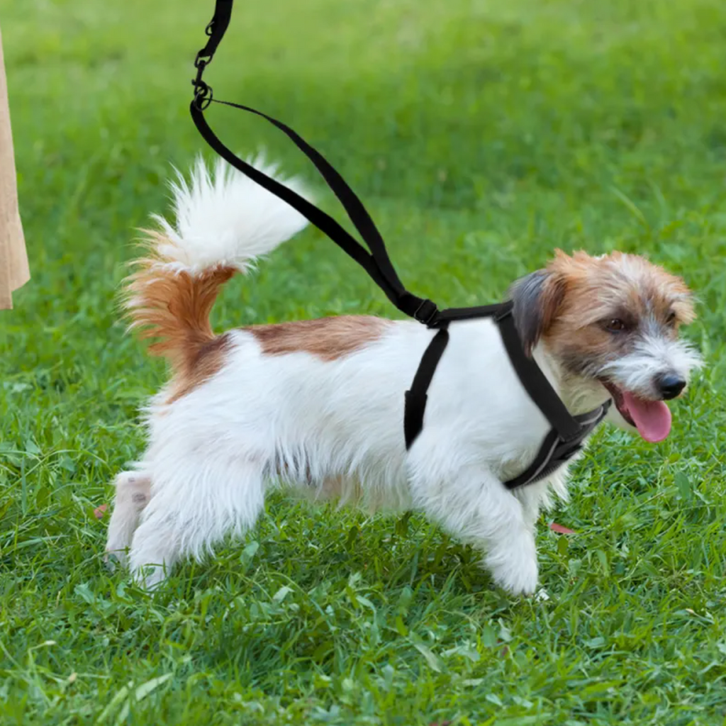 Reflective No-Pull Dog Harness