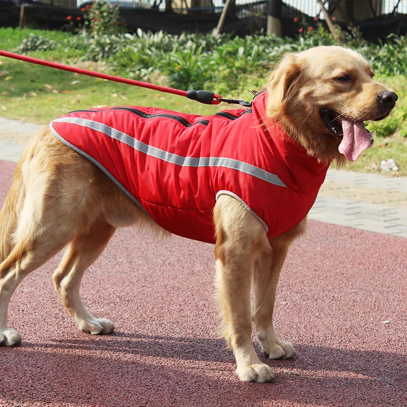 Thickened Windproof Dog Jacket