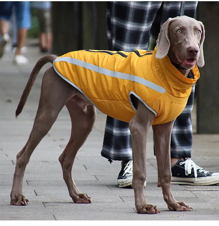 Thickened Windproof Dog Jacket