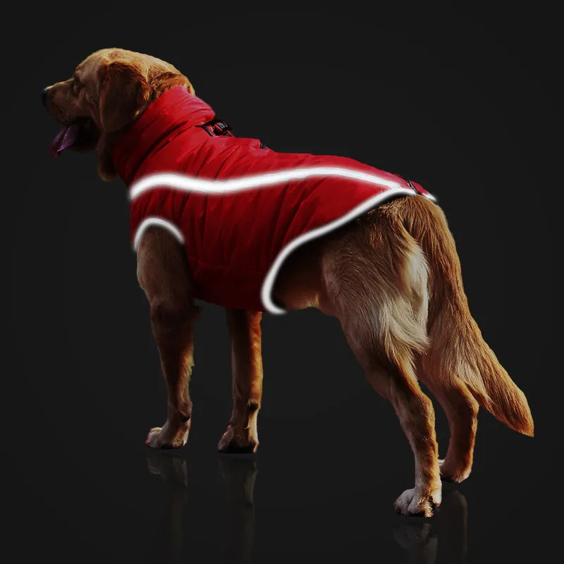 Thickened Windproof Dog Jacket