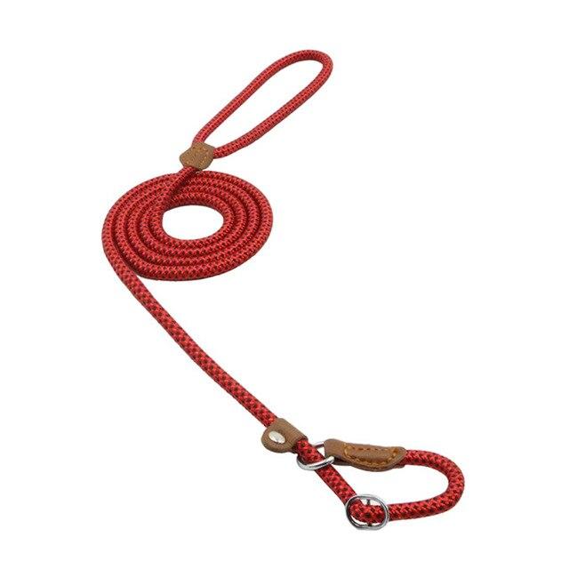 Nylon Pup Set — Collar & Lead